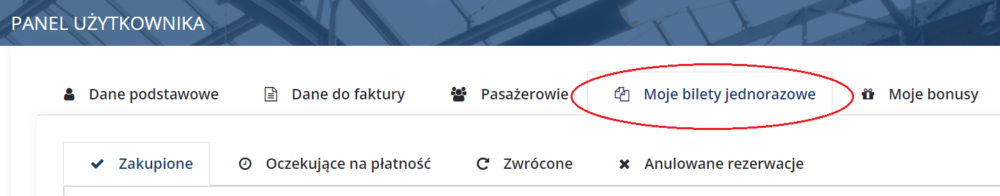 Zmiana danych na bilecie - użytkownik zalogowany